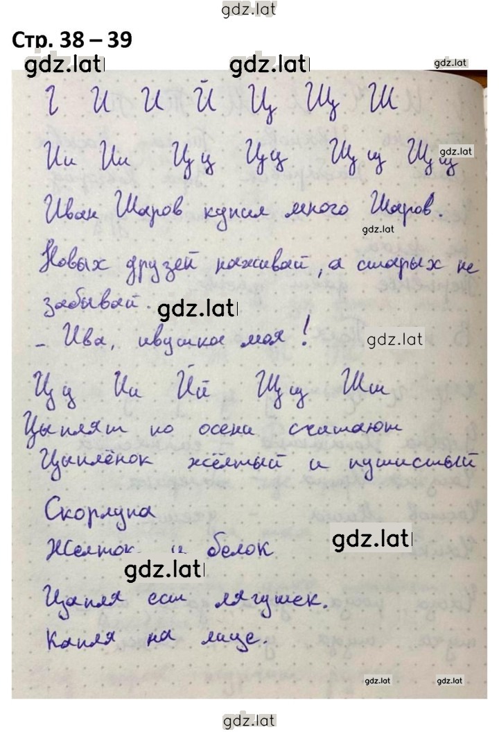 Решение задания № 38-39 — страница 1