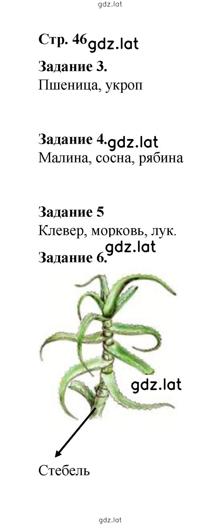 Решение задания № 46 — страница 1