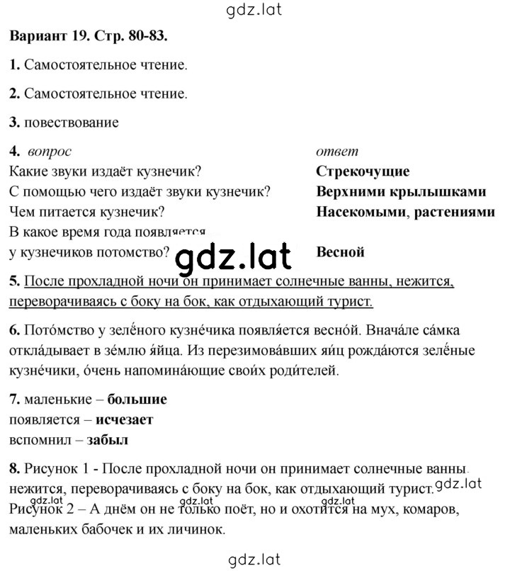 Решение задания № 19 — страница 1
