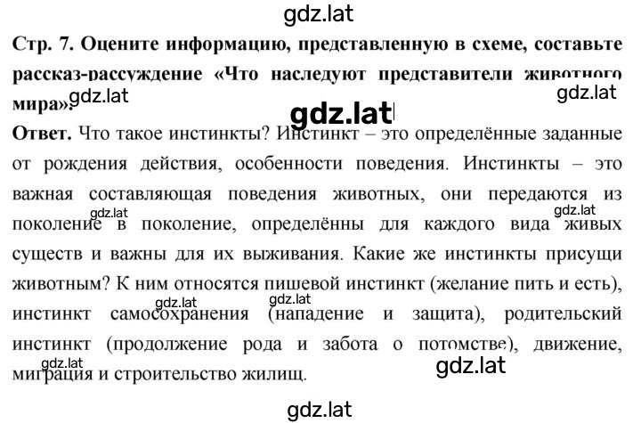 Решение задания № стр. 7 — страница 1