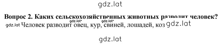 Решение задания № 2 — страница 1