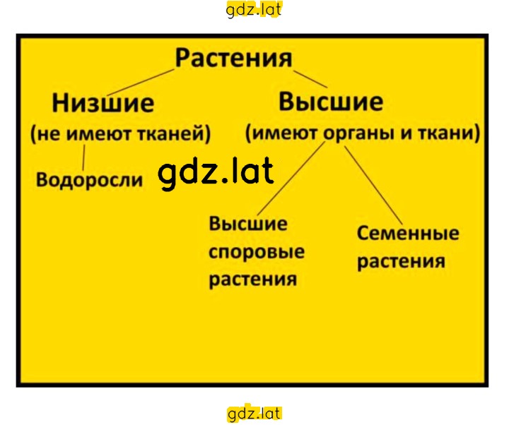 Решение задания № 31 — страница 2