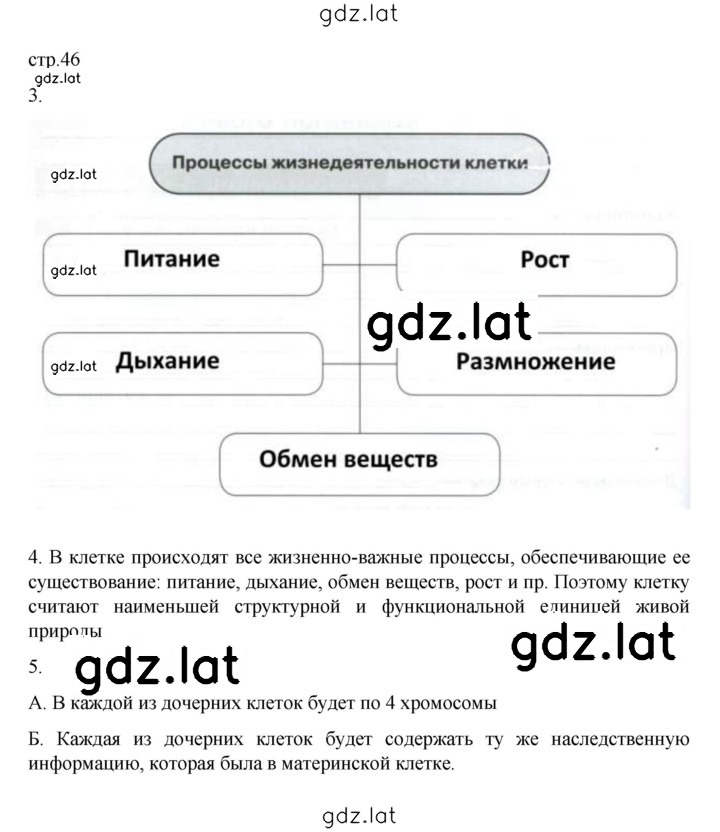Решение задания № 46 — страница 1