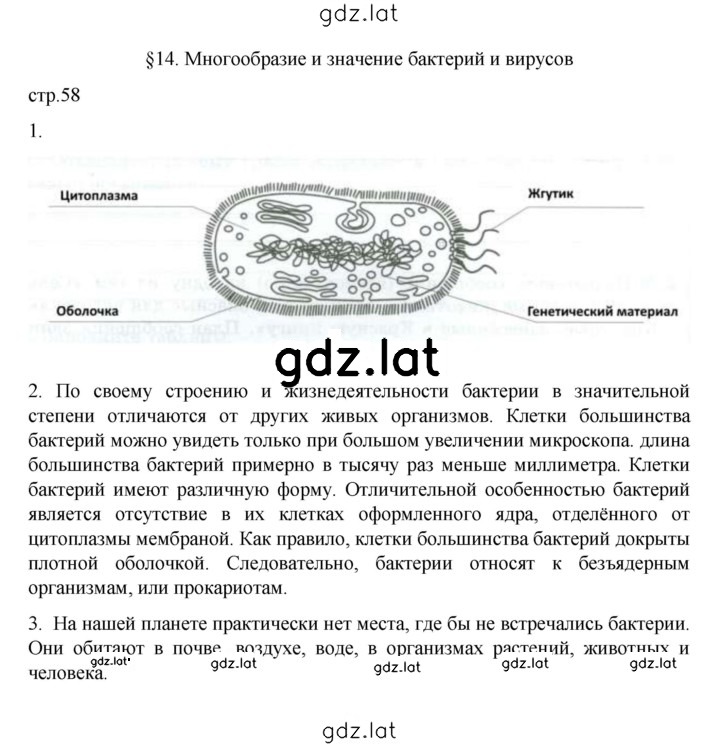 Решение задания № 58 — страница 1