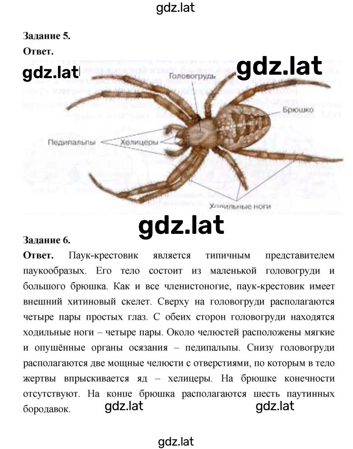 Решение задания № 111 — страница 2