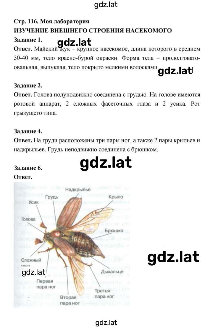 Решение задания № 116 — страница 1
