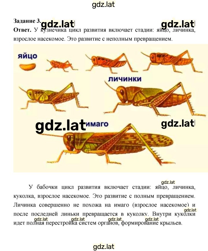Решение задания № 121 — страница 2