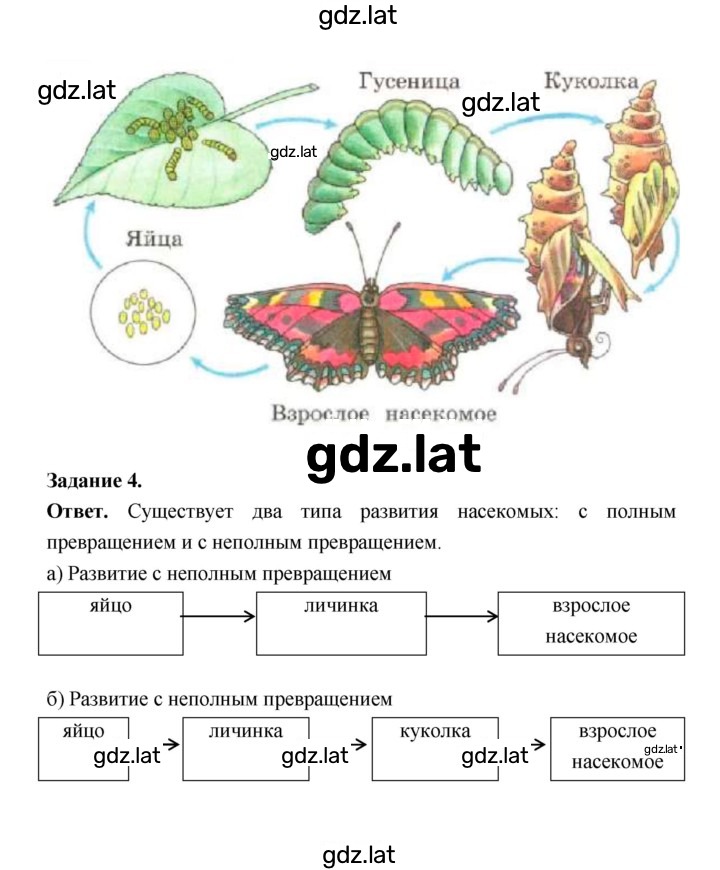 Решение задания № 121 — страница 3