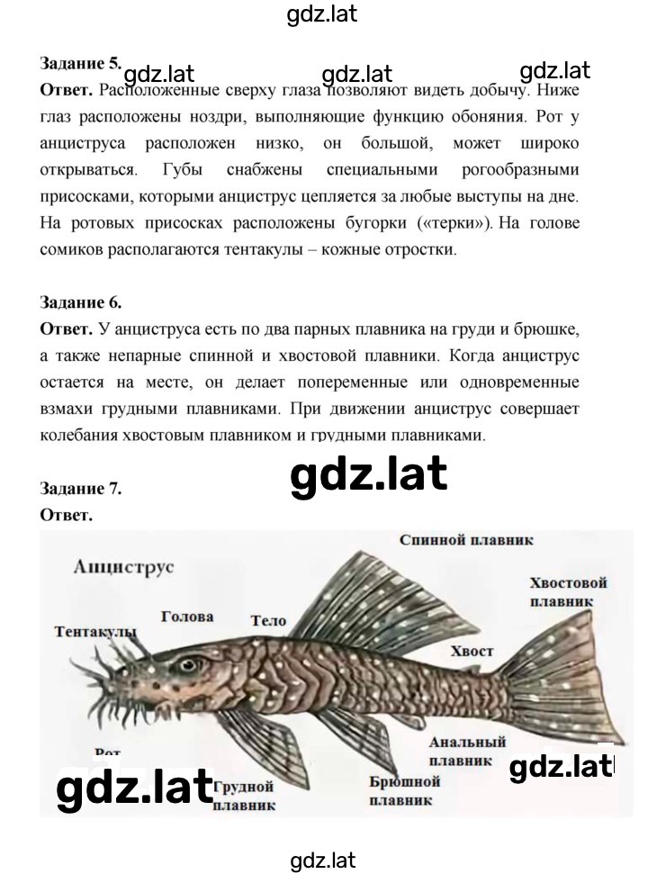 Решение задания № 147 — страница 3