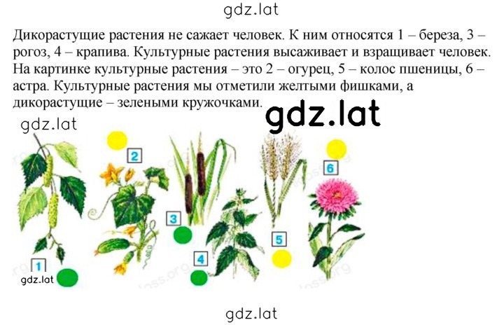 Решение задания № 116 — страница 2