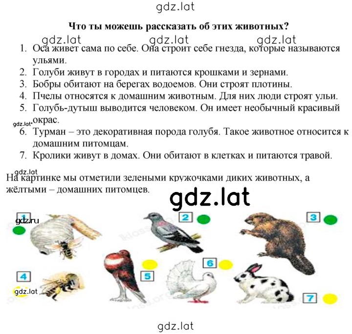 Решение задания № 3 — страница 2