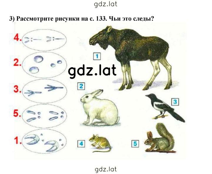 Решение задания № 56 — страница 2
