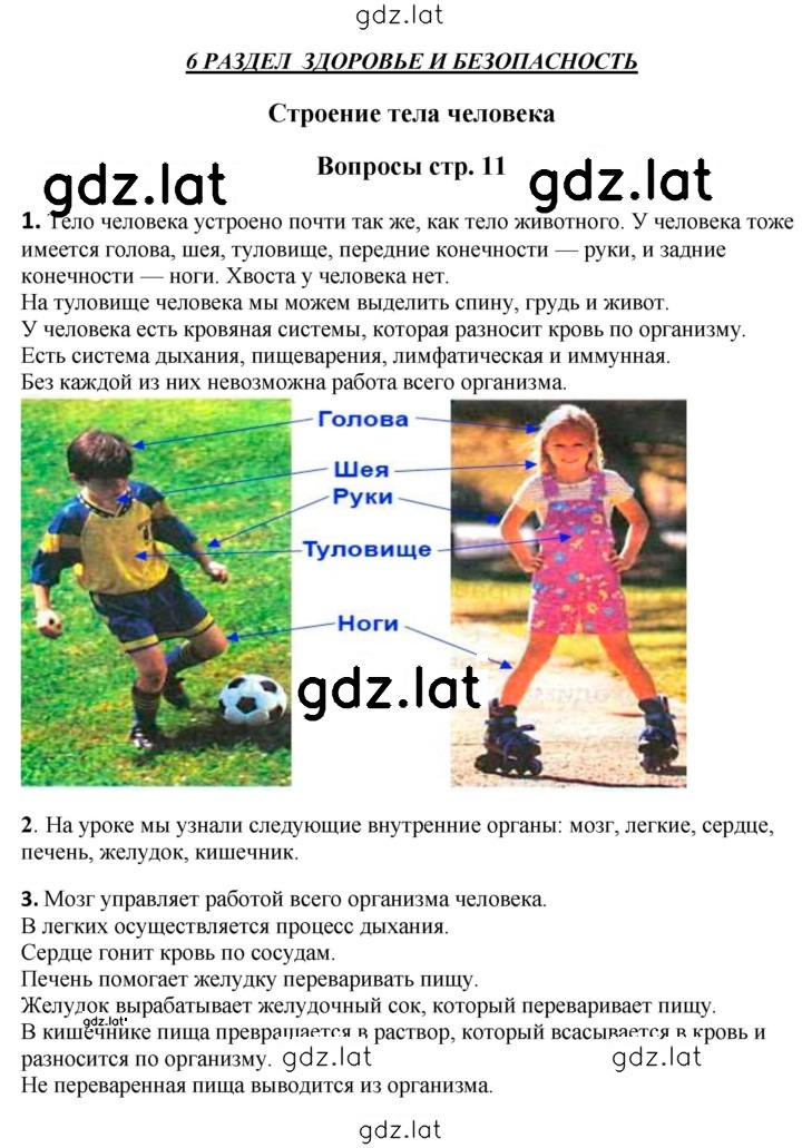 Решение задания № 11 — страница 1