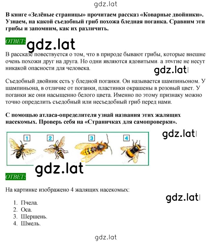 Решение задания № 40 — страница 2