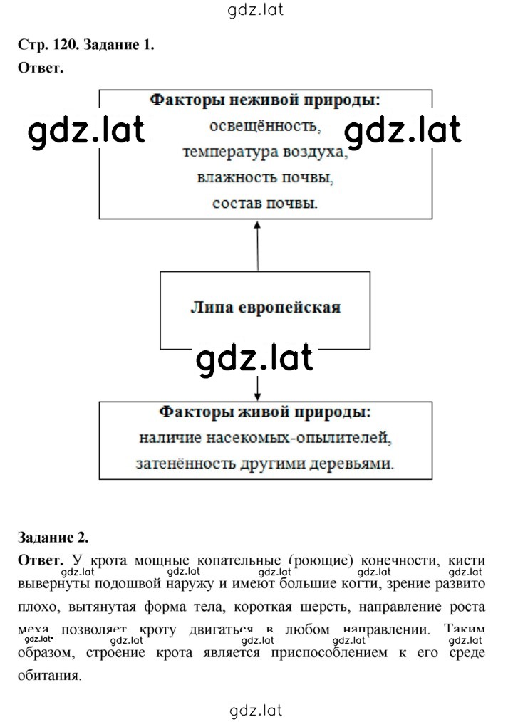 Решение задания № 120 — страница 1