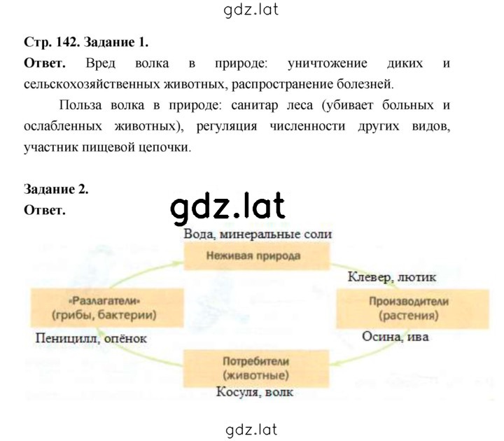 Решение задания № 142 — страница 2