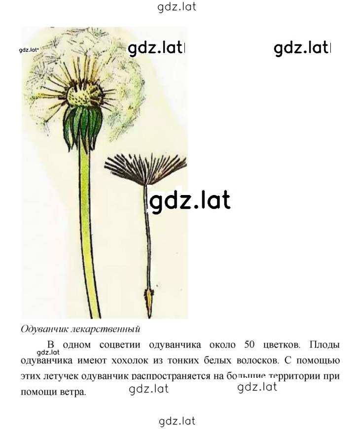 Решение задания № 157 — страница 4