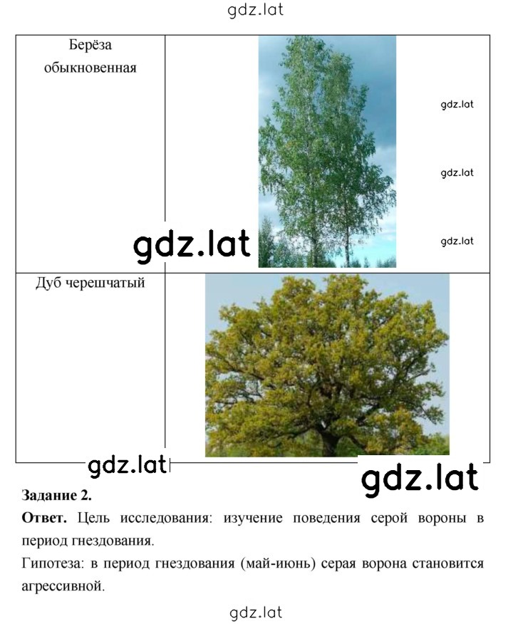 Решение задания № 41 — страница 3