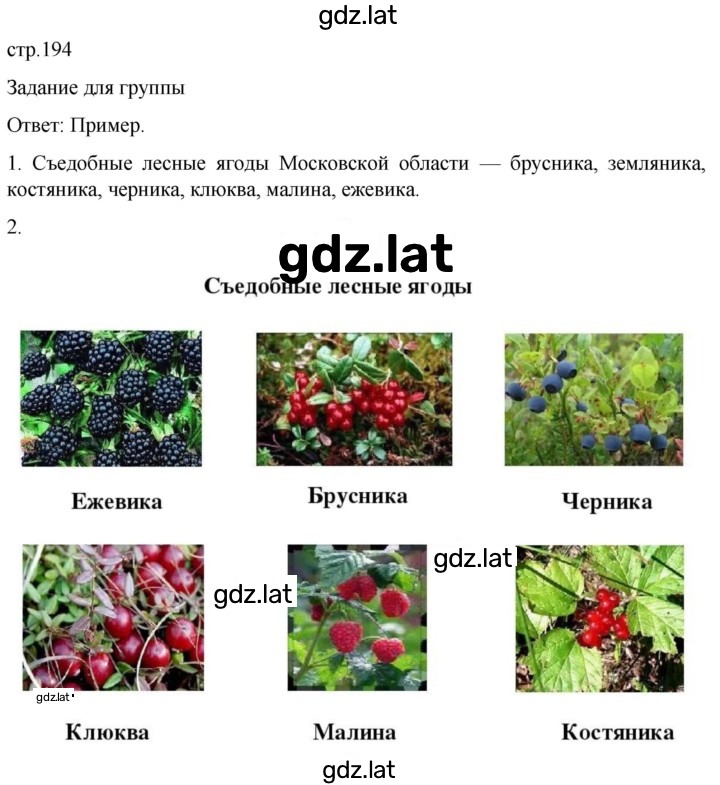 Решение задания № 194 — страница 1