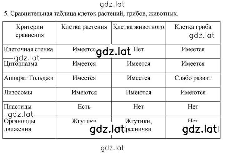 Решение задания № 5 — страница 1