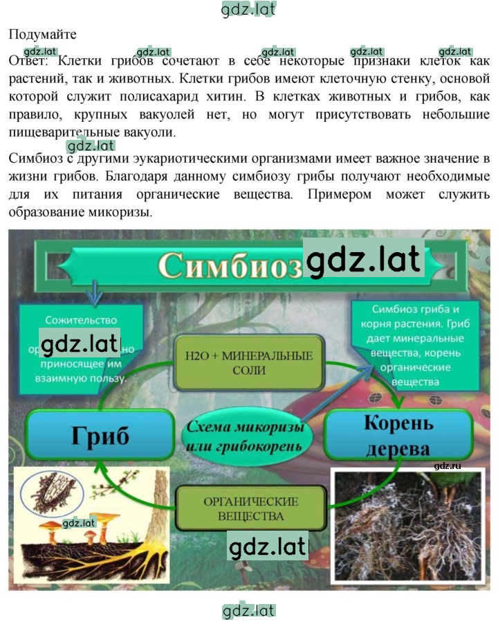 Решение задания № 1 — страница 1