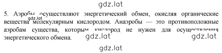 Решение задания № 5 — страница 1