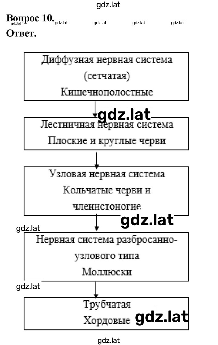 Решение задания № 10 — страница 1