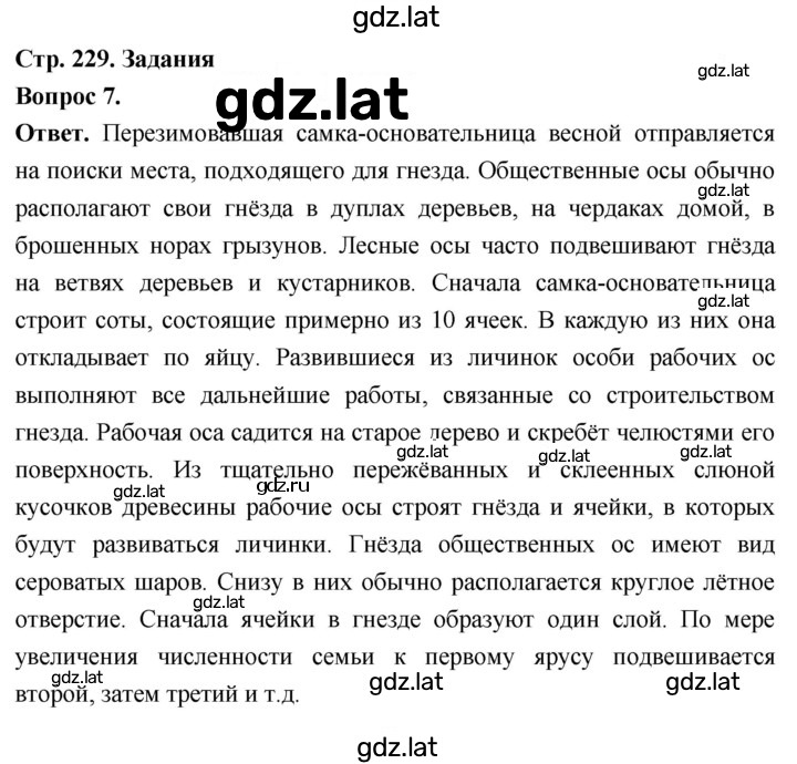 Решение задания № 7 — страница 1