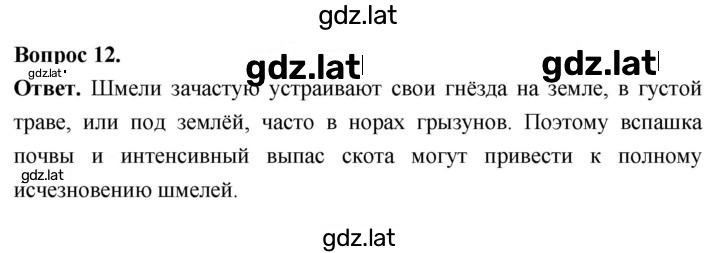 Решение задания № 12 — страница 1