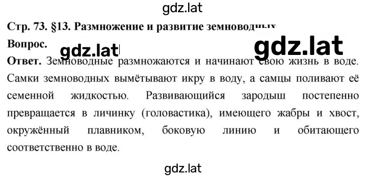 Решение задания № 1 — страница 1