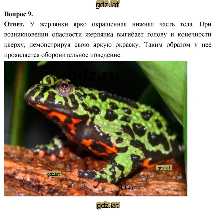 Решение задания № 9 — страница 1