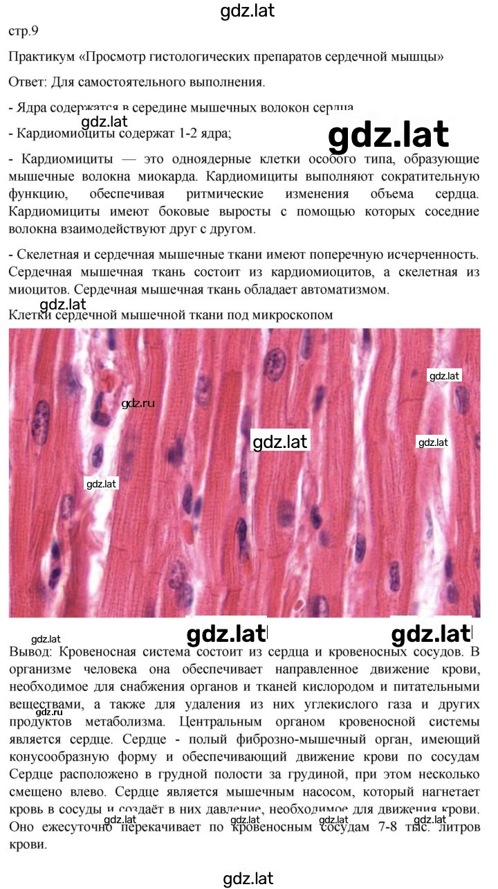 Решение задания № стр. 9 — страница 1